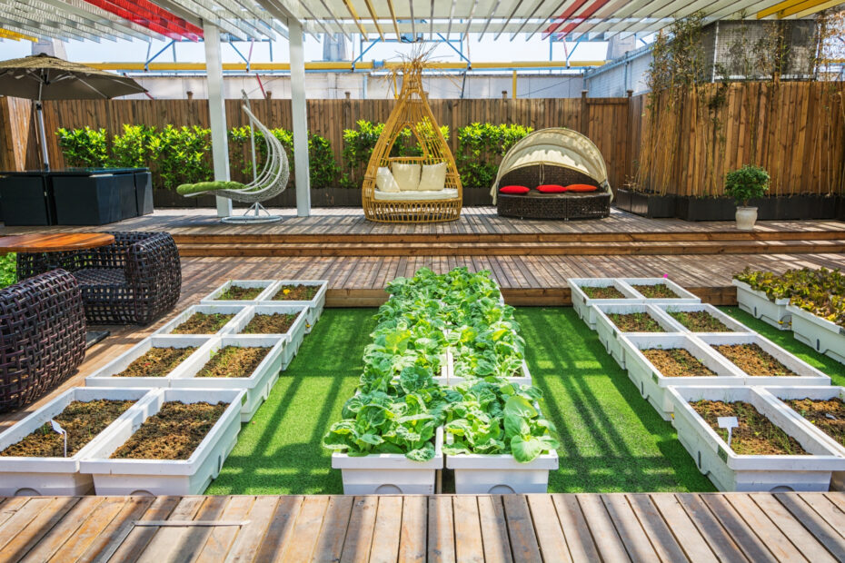 Landscaping Ideas