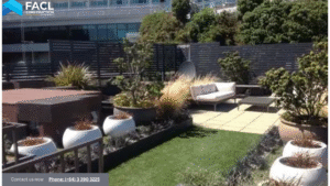 Landscaping Ideas