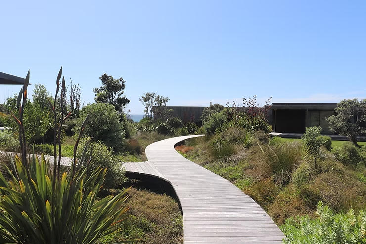 Native garden in Christchurch