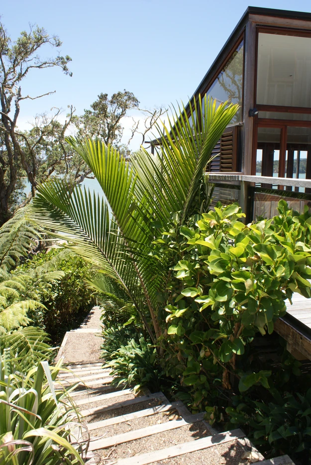 Native garden in Christchurch