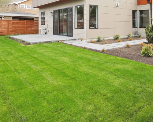 Landscaping Christchurch